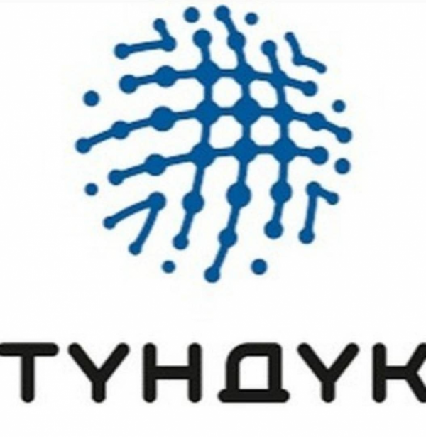 На территории Кыргызской Республики внедряется использование мобильного приложения "Түндүк".