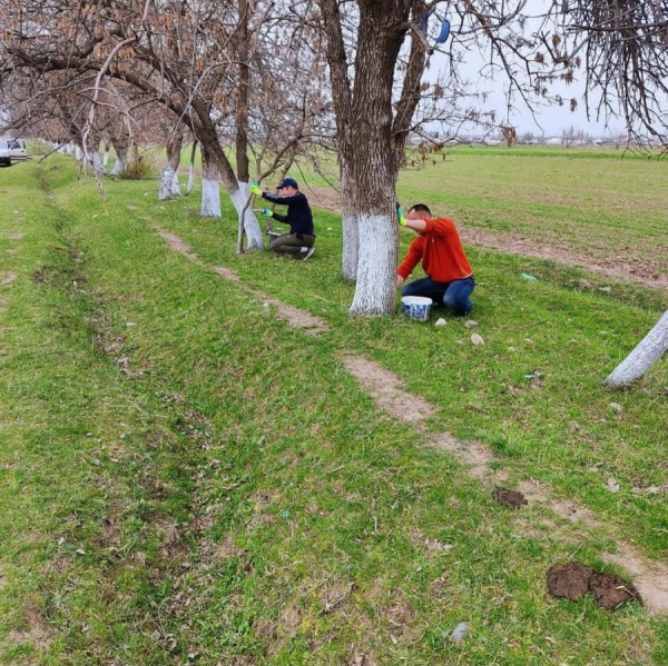 29 марта 2023 года специалистами Александровского айыл окмоту Московского района были проведены мероприятия по побелке деревьев на дороге Асылбаш - Александровка.